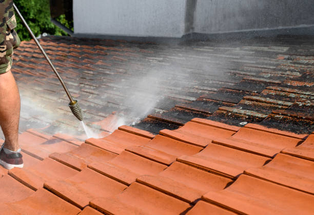 Best Roof Pressure Washing  in Wellsburg, WV