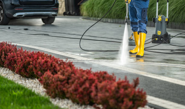 Best Exterior Home Cleaning  in Wellsburg, WV