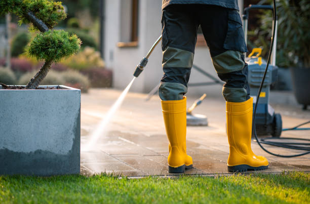 Best House Pressure Washing  in Wellsburg, WV